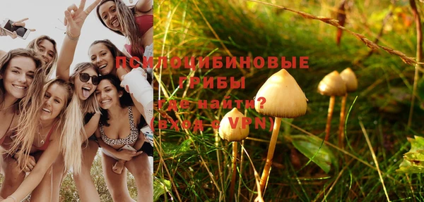 молекула духа Белоозёрский