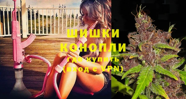 молекула духа Белоозёрский