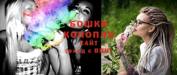 молекула духа Белоозёрский