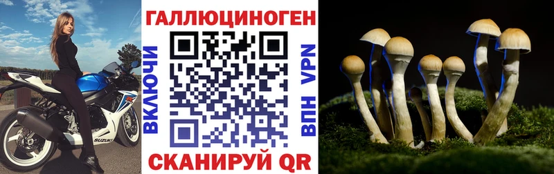 Галлюциногенные грибы Cubensis  Купить где  Серафимович 